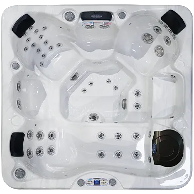 Avalon EC-849L hot tubs for sale in Bismarck