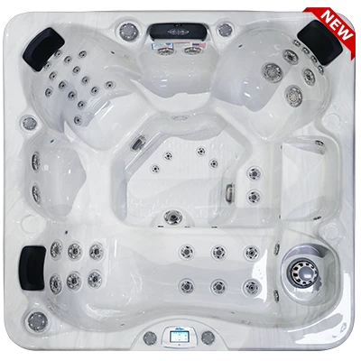 Avalon-X EC-849LX hot tubs for sale in Bismarck