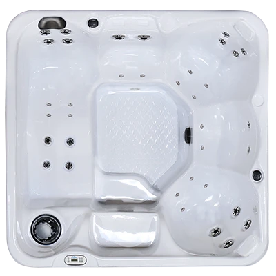 Hawaiian PZ-636L hot tubs for sale in Bismarck